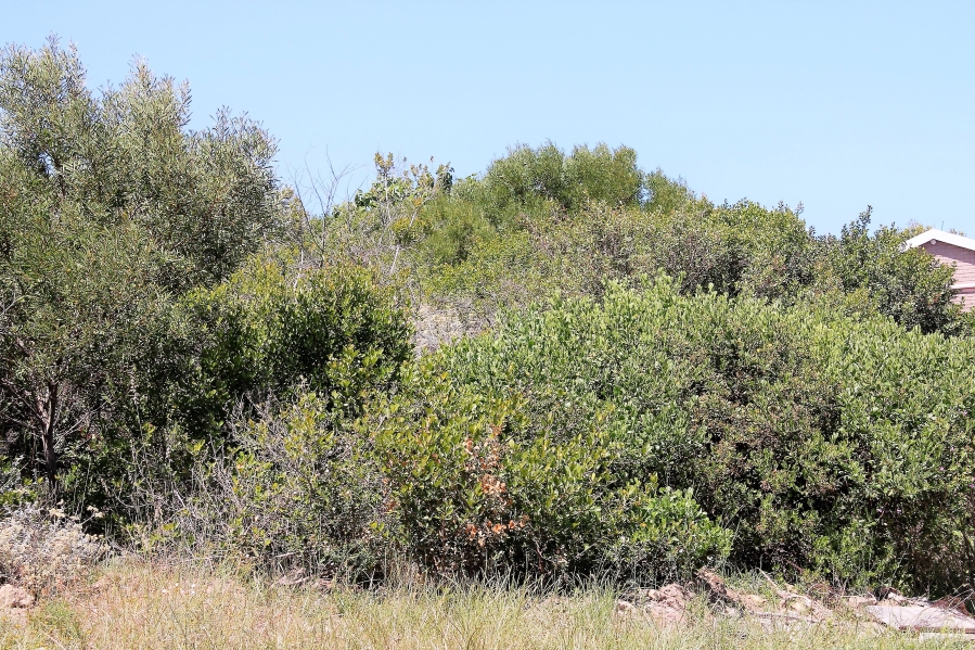 0 Bedroom Property for Sale in Dana Bay Western Cape